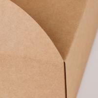 Food grade flute corrugated custom printed size design cardboard carton pizza box for gift shipping