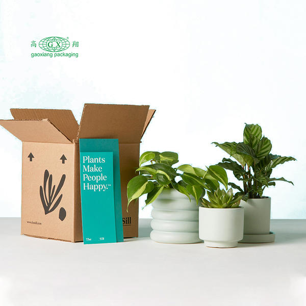 Custom personalized recyclable corrugated flat plants flowers paper box packing